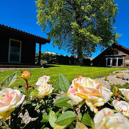 Aguona Royal Oasis Villa Molėtai Exterior foto